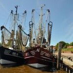 Schiffe im Hafen